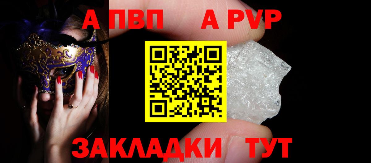 A PVP СК КРИС Балтийск