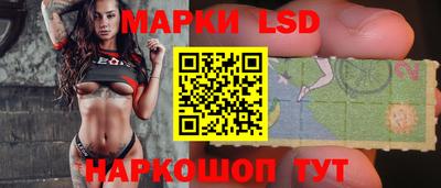СК Камышлов