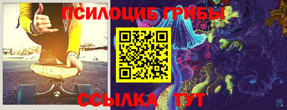 Галлюциногенные грибы ЛСД Балтийск