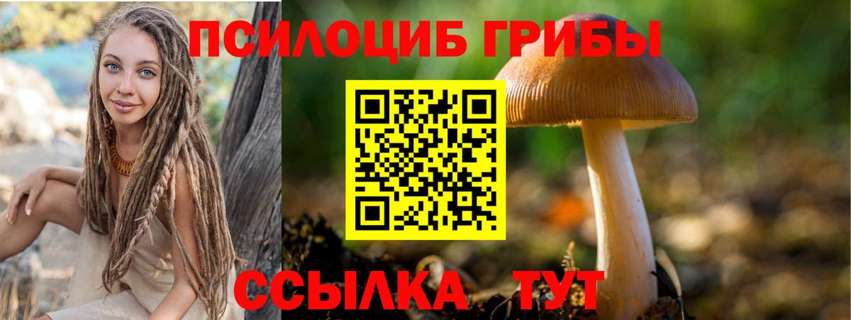 Галлюциногенные грибы GOLDEN TEACHER  Вход с VPN  Балтийск 